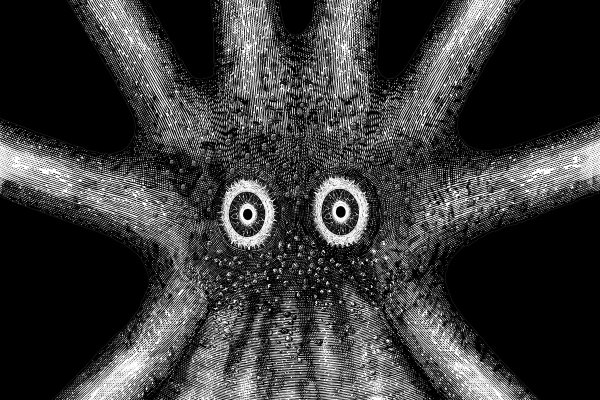 Ссылка на kraken at