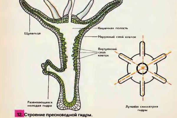 Кракен даркнет купить